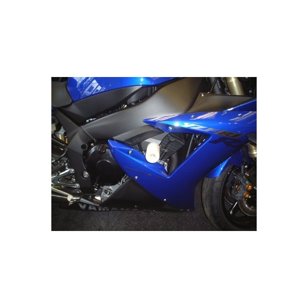 R&G R1 02-03 MUSHROOMS